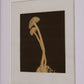 Mushrooms No. 6