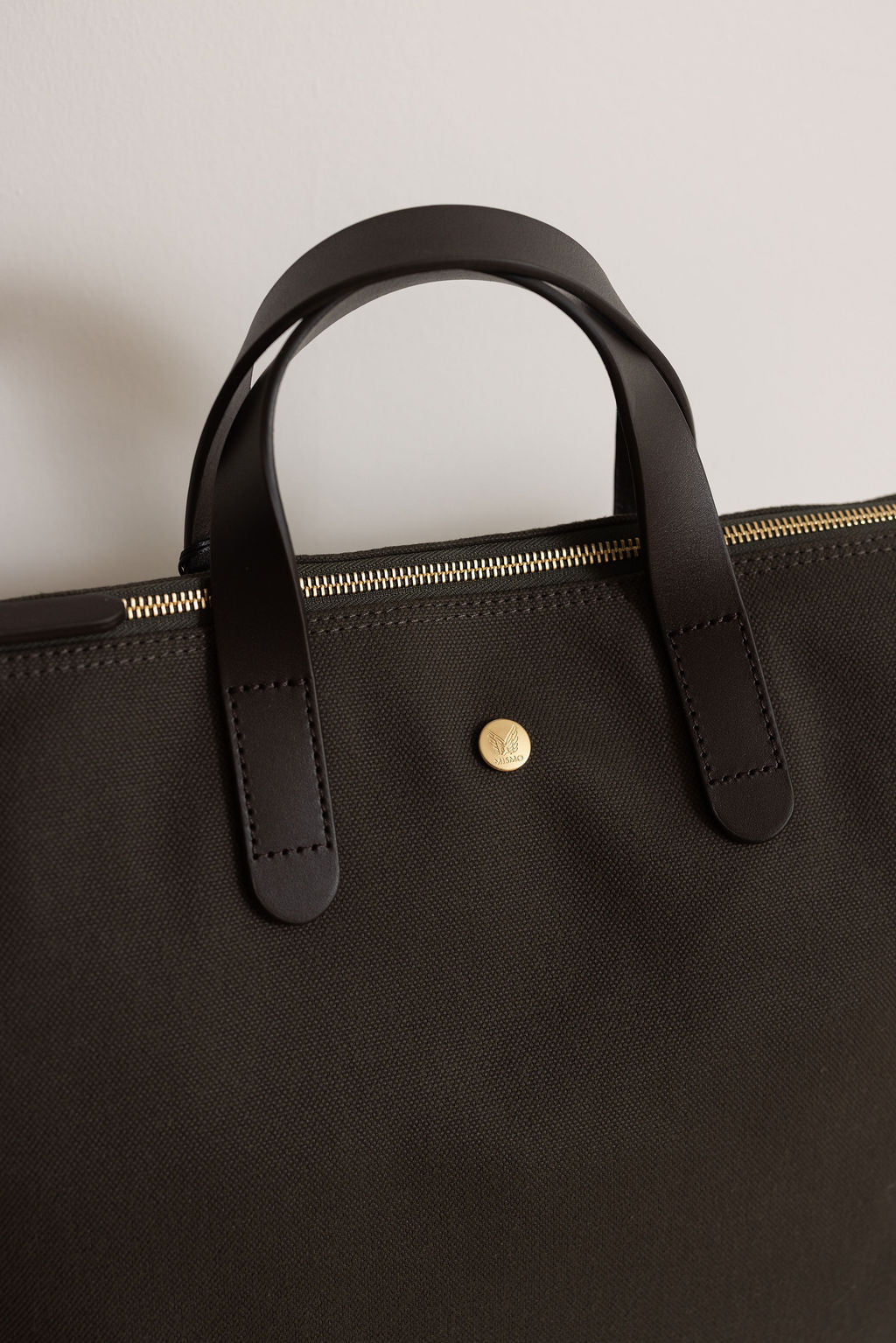 MS Brief