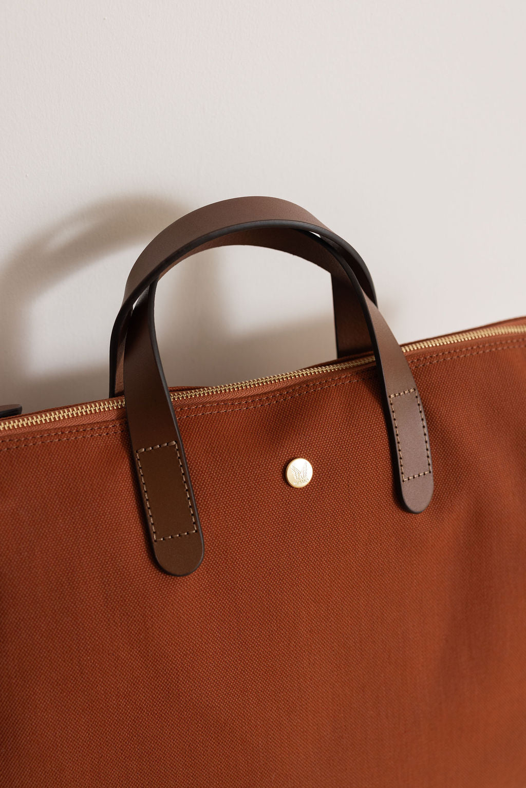 MS Brief