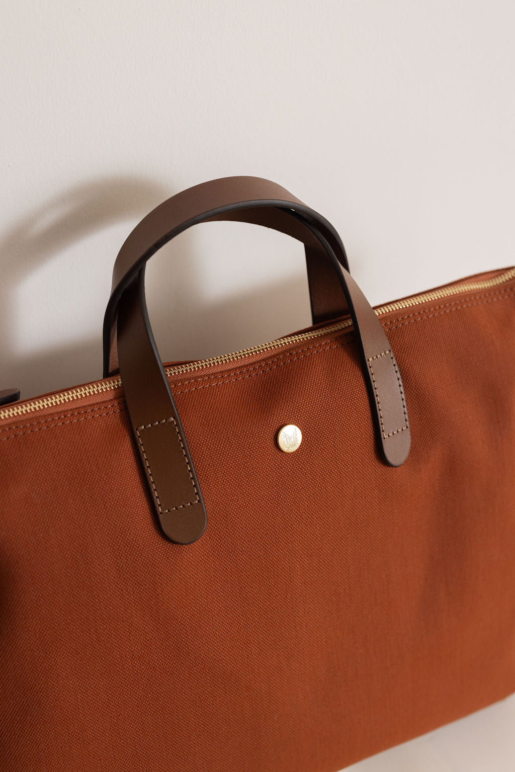 MS Brief